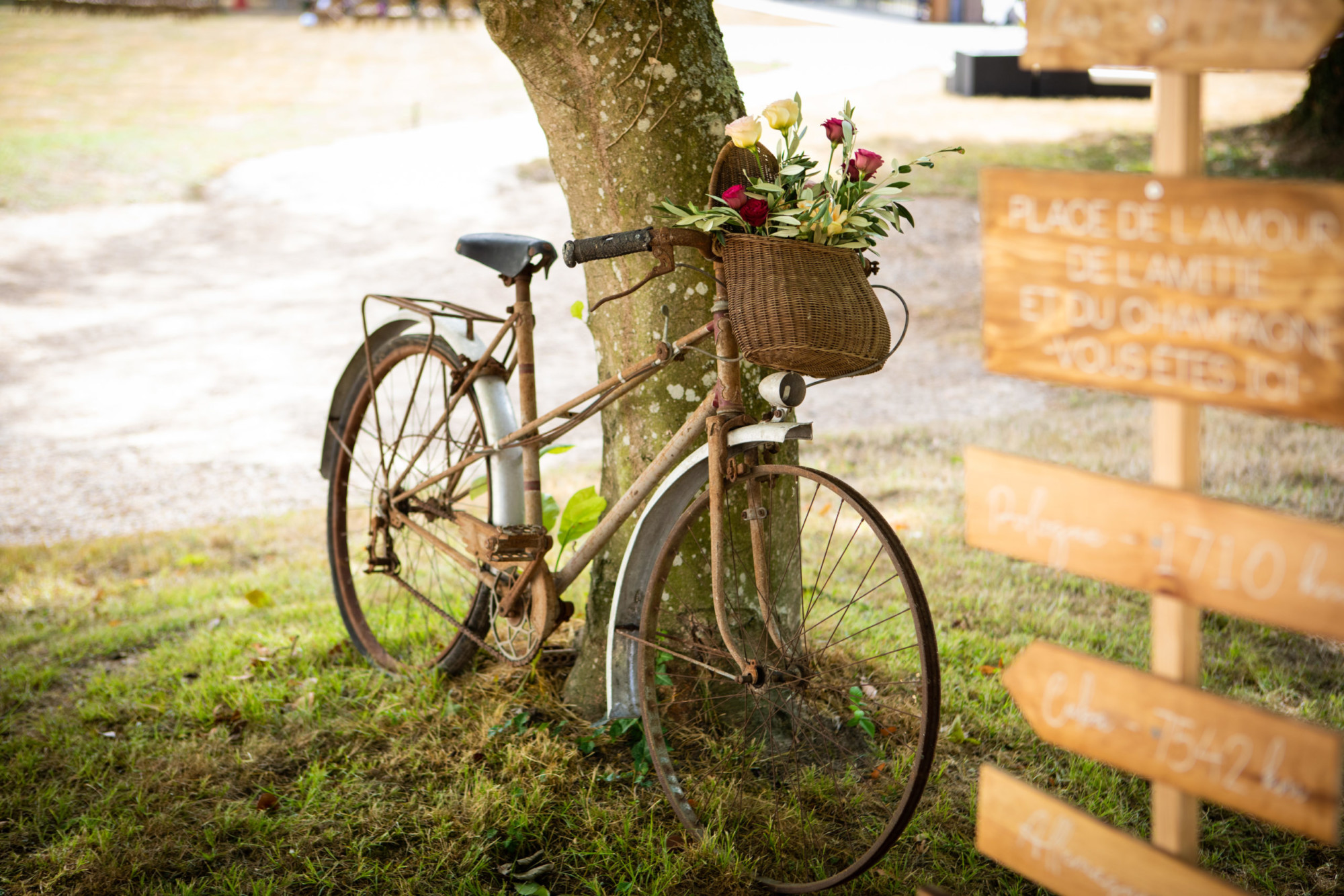 vélo vintage, vélo ancien, décor, décor de mariage, décoration